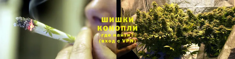 Конопля SATIVA & INDICA  Кандалакша 